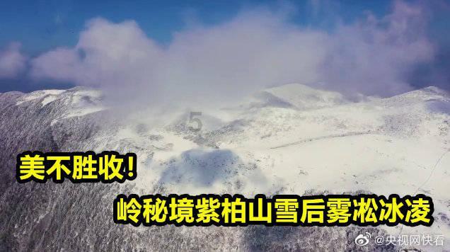 端午节为什么要吃粽子？游戏画面