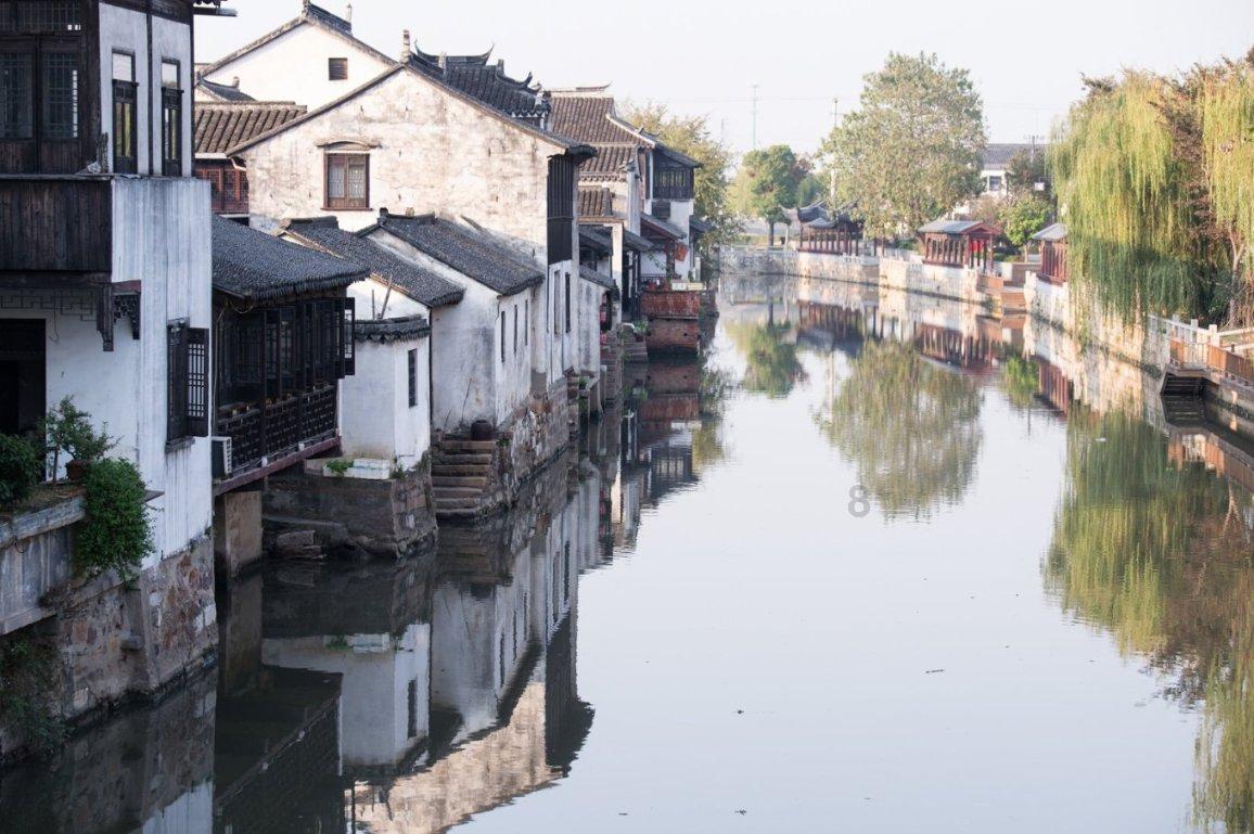 逃离仿真森林